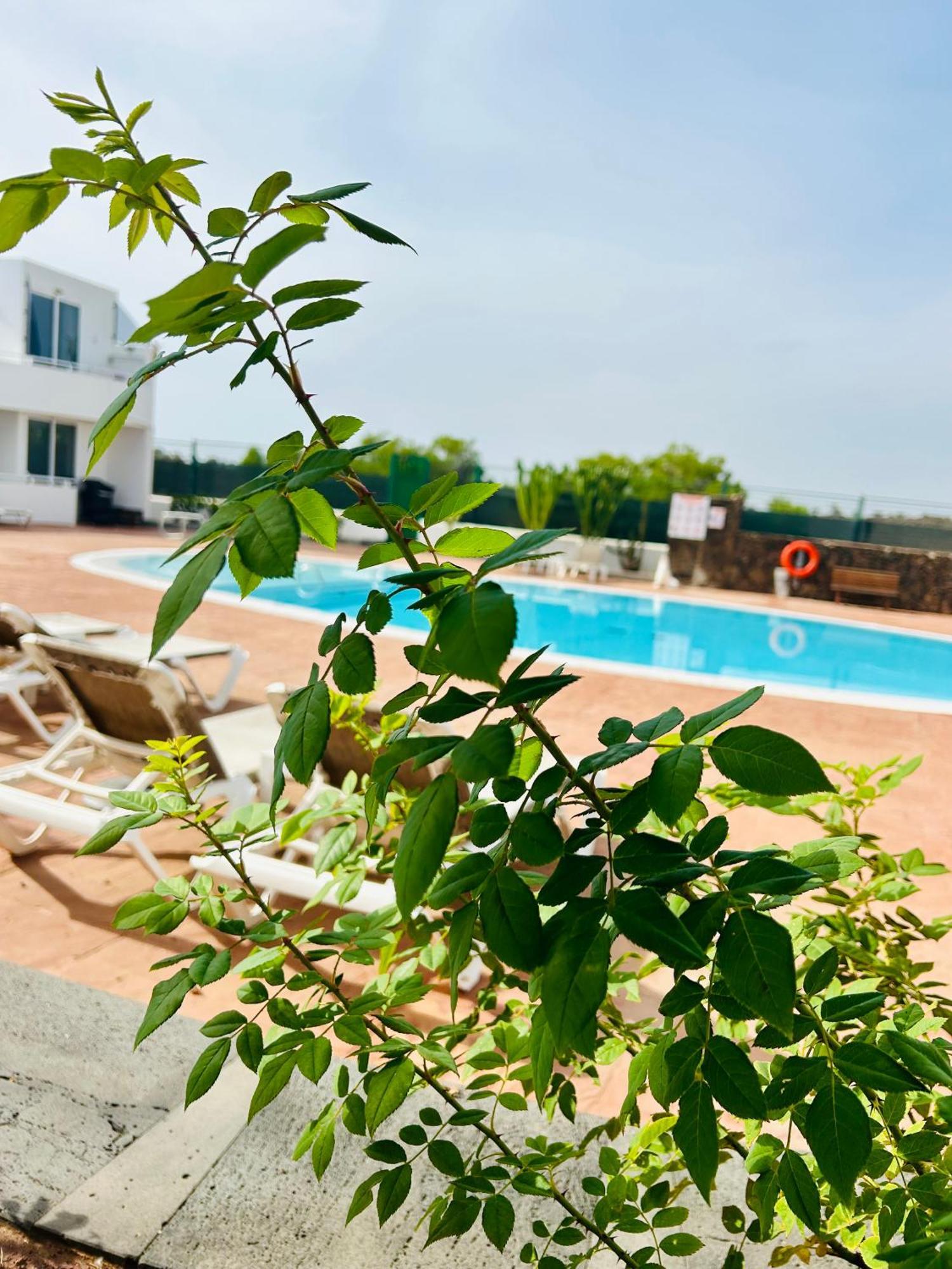 Casa Alexia Daire Teguise  Dış mekan fotoğraf